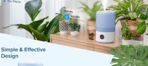Levoit Dual 200S Smart Cool Mist Humidifier Reviews