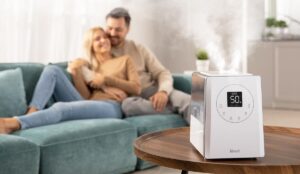 Levoit LV600S Smart Warm and Cool Mist Humidifier Reviews