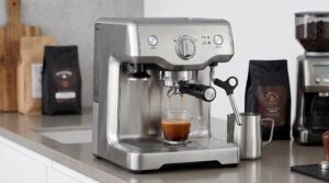 Breville Duo Temp Pro Espresso Machine BES810BSS